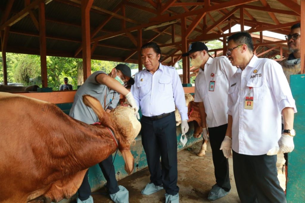 Menjelang Idhul Adha, Pj Gubernur Al Muktabar Kendalikan Penyebaran Pmk Di Provinsi Banten 28 Gambar Menjelang Idhul Adha, Pj Gubernur Al Muktabar Kendalikan Penyebaran PMK di Provinsi Banten 27