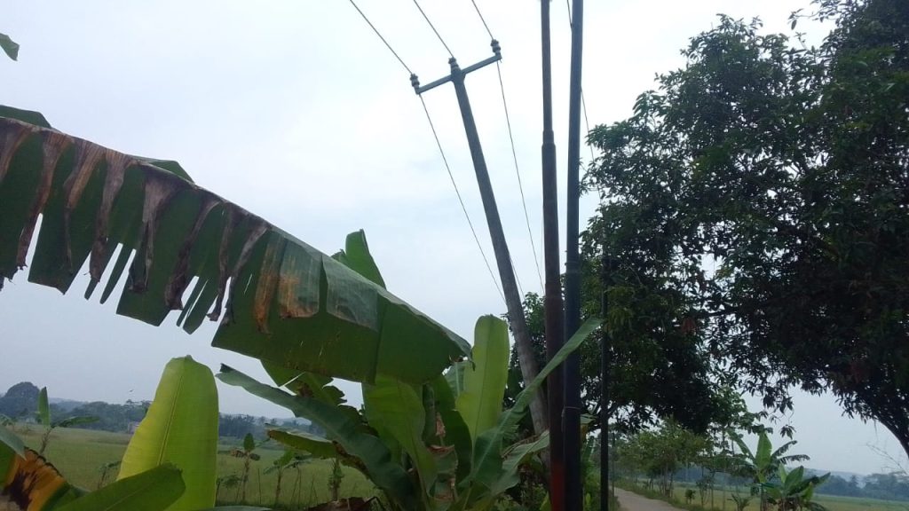 Mengerikan..!! Beberapa Tiang Listrik Sentral Pln Terlihat Miring 20 Gambar Mengerikan..!! Beberapa Tiang Listrik Sentral PLN Terlihat Miring 19