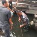 Gambar Babinsa Koramil 0602-18/ Kragilan Menjebol Saluran Tersumbat Sampah Penyebab Banjir 37