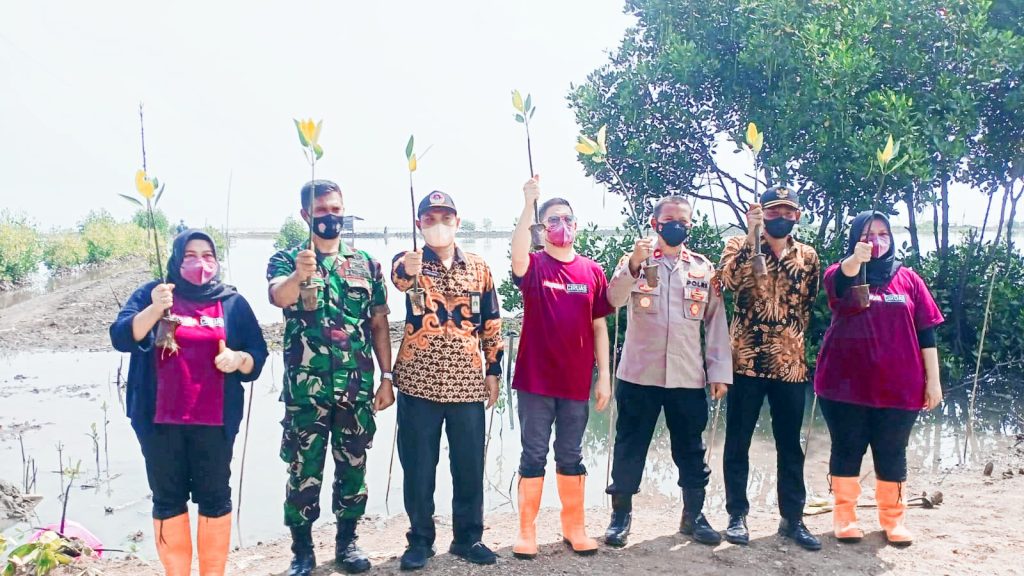 Gambar Rangkaian Peringatan Hut Ke-37, RS Hermina Ciruas Tanam 1.000 Pohon Mangrove Di Sepanjang Pesisir Pantai Lontar 27