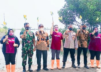Gambar Rangkaian Peringatan Hut Ke-37, RS Hermina Ciruas Tanam 1.000 Pohon Mangrove Di Sepanjang Pesisir Pantai Lontar 35