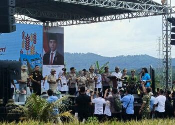 Panen Raya PS-08 di Carita, Produksi Capai Target dan Dorong Swasembada Pangan